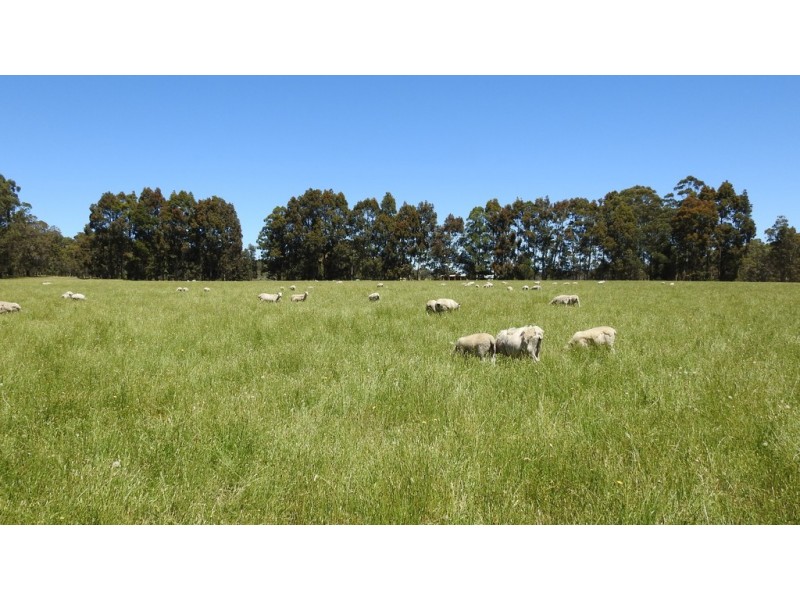 175 Barrett Road, Rosa Brook WA 6285