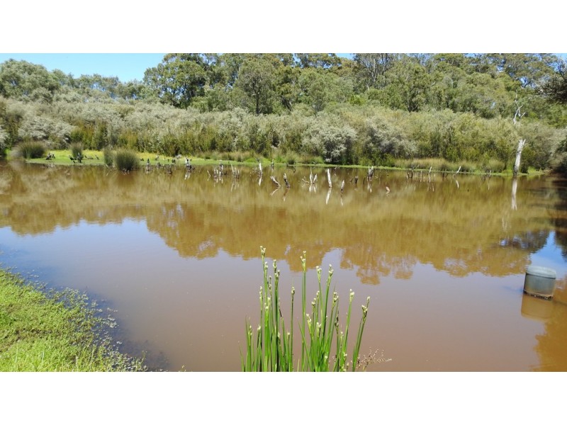 175 Barrett Road, Rosa Brook WA 6285