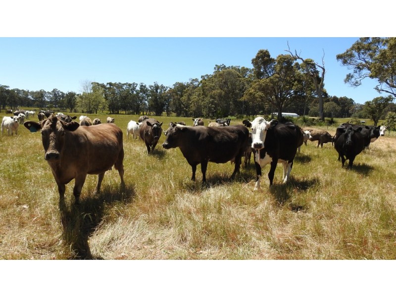 175 Barrett Road, Rosa Brook WA 6285