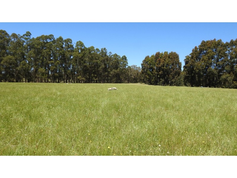 175 Barrett Road, Rosa Brook WA 6285