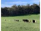 Glenfield Farm Edwards Road (Perup), Manjimup WA 6258