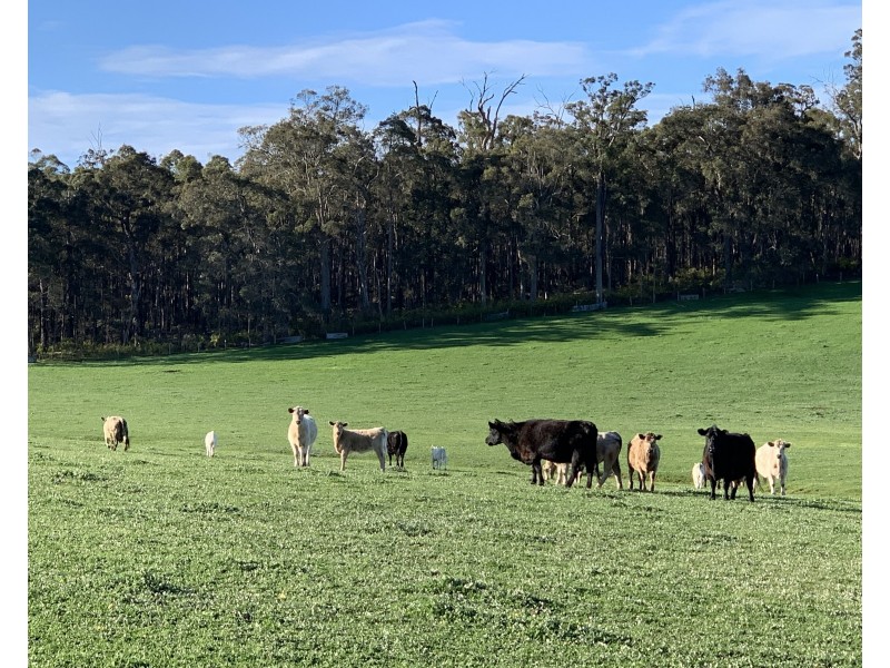 Glenfield Farm Edwards Road (Perup), Manjimup WA 6258