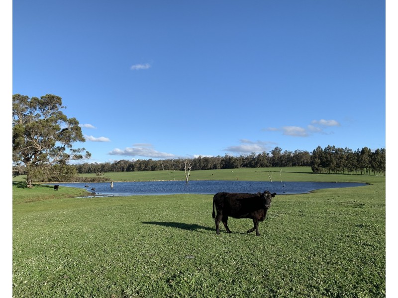 Glenfield Farm Edwards Road (Perup), Manjimup WA 6258