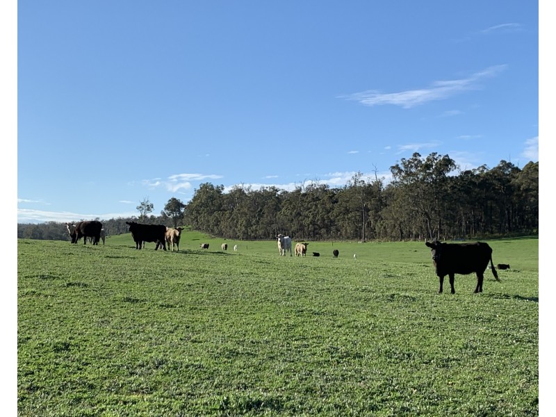 Glenfield Farm Edwards Road (Perup), Manjimup WA 6258