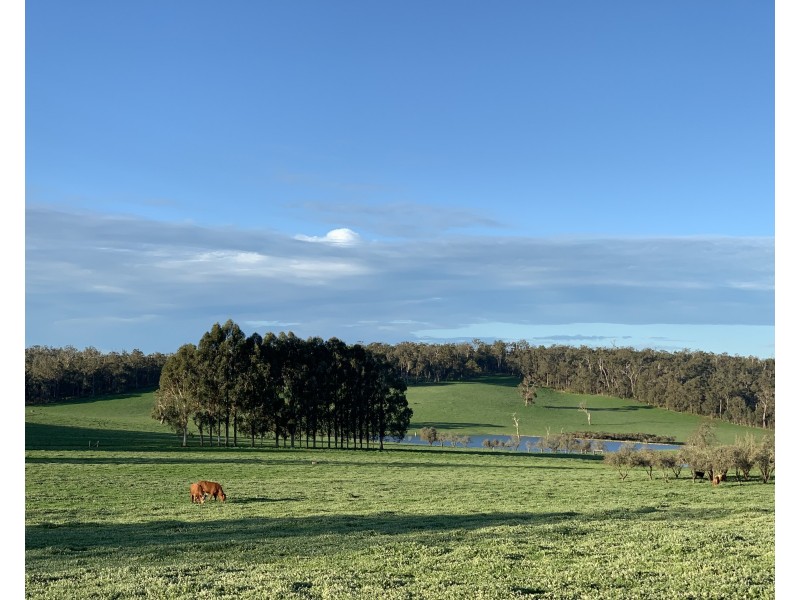 Glenfield Farm Edwards Road (Perup), Manjimup WA 6258