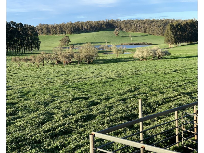 Glenfield Farm Edwards Road (Perup), Manjimup WA 6258
