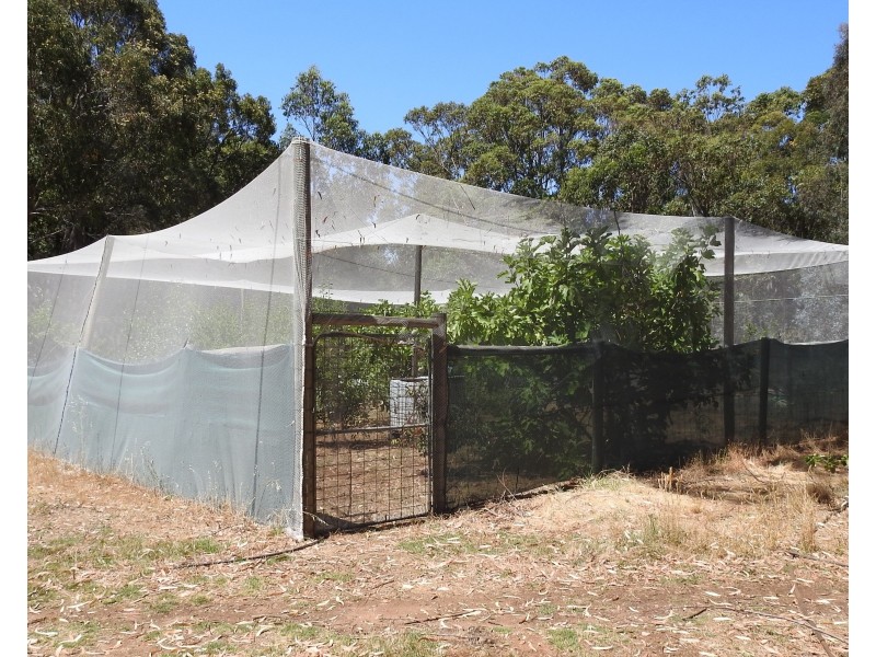 6480 Caves Road, Margaret River WA 6285