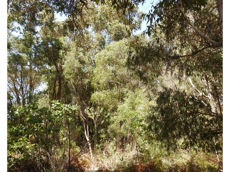 6480 Caves Road, Margaret River WA 6285