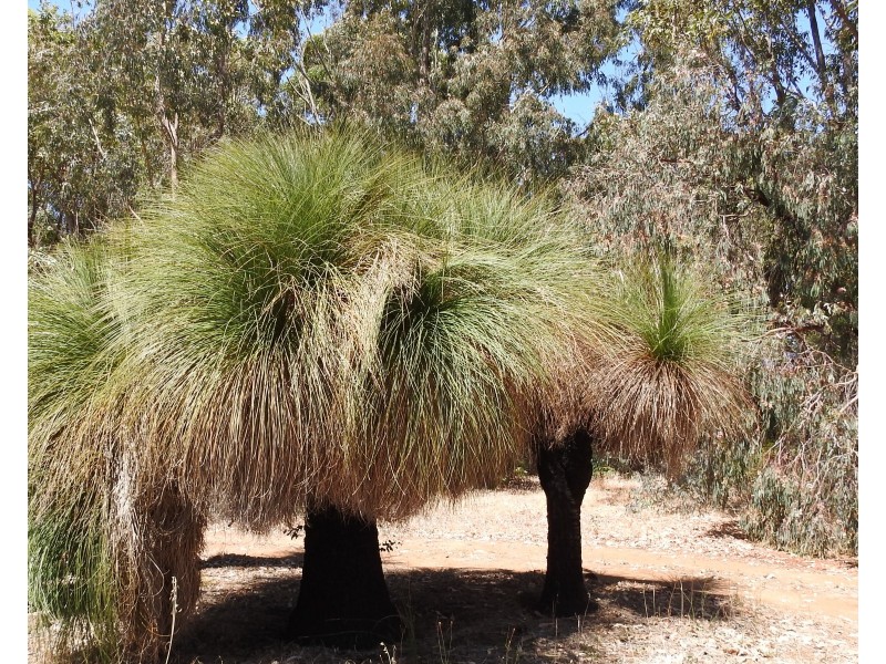 6480 Caves Road, Margaret River WA 6285