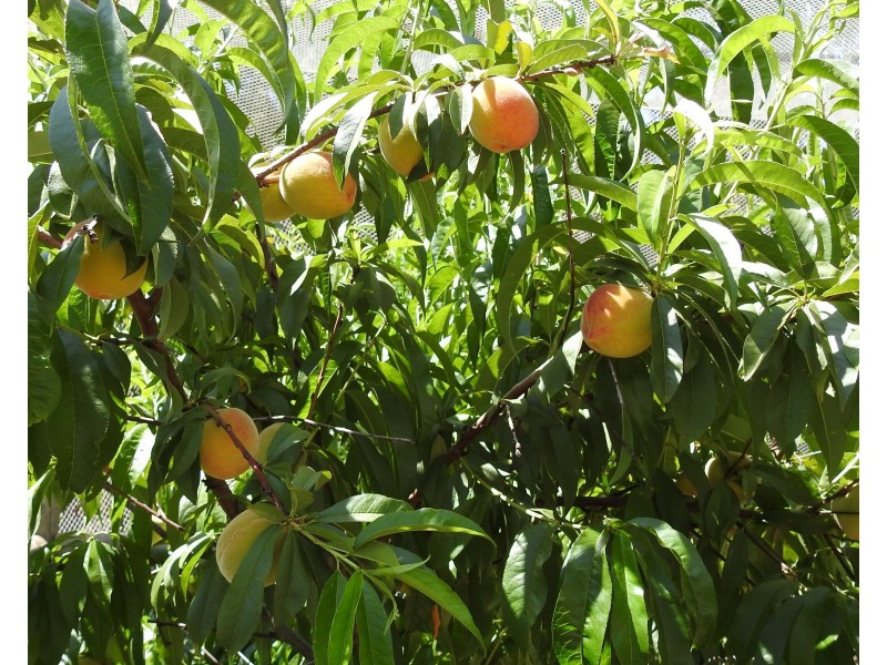 6480 Caves Road, Margaret River WA 6285