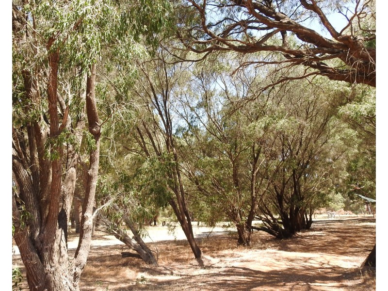 6480 Caves Road, Margaret River WA 6285