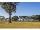 62 Rushleigh Road, Reinscourt WA 6280
