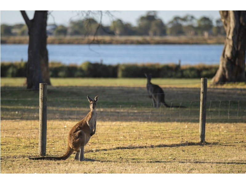 62 Rushleigh Road, Reinscourt WA 6280