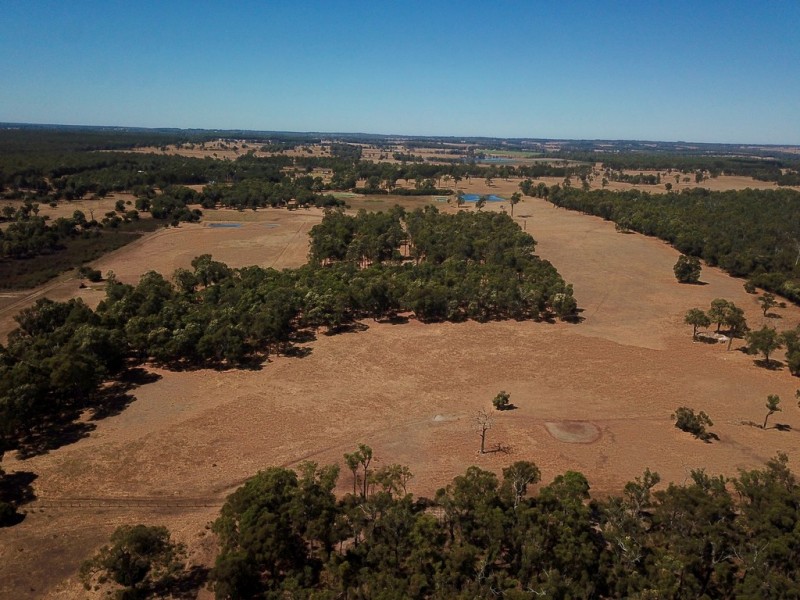 334 Linfarn Road (Linfarne), Manjimup WA 6258