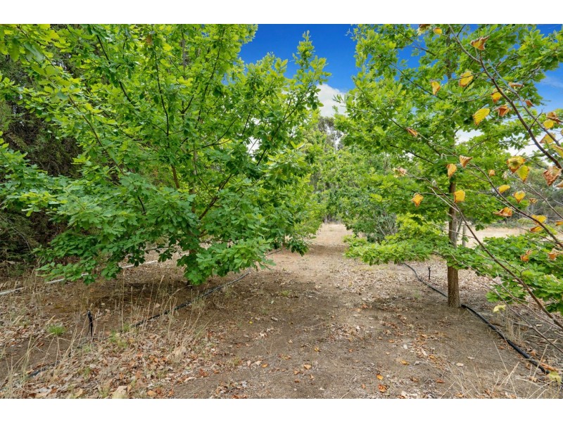 334 Linfarn Road (Linfarne), Manjimup WA 6258