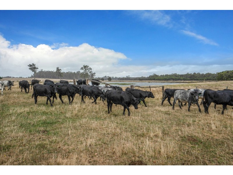 334 Linfarn Road (Linfarne), Manjimup WA 6258