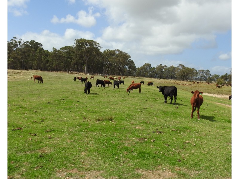 195 Crozier Road, Rosa Brook WA 6285