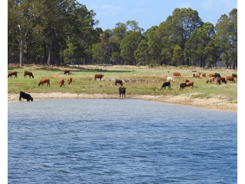 195 Crozier Road, Rosa Brook WA 6285