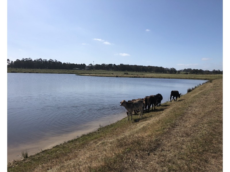 195 Crozier Road, Rosa Brook WA 6285