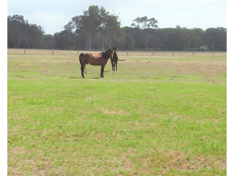 195 Crozier Road, Rosa Brook WA 6285