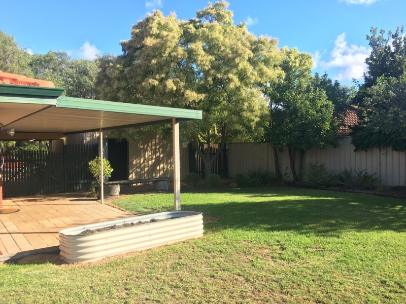 8 Greyteal Place, West Busselton WA 6280