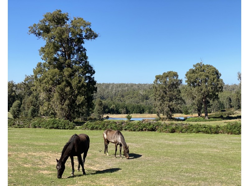 76 Fernhill Road (Dingup), Manjimup WA 6258