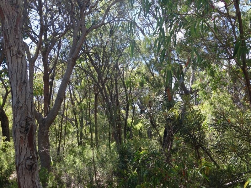 Lot 44 Cnr Cullen Road and Judd Road, Gracetown WA 6284
