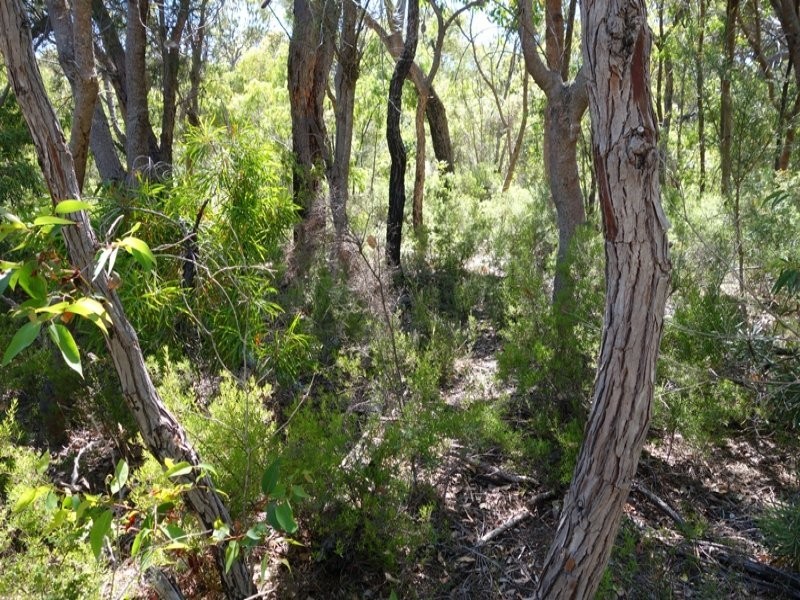 Lot 44 Cnr Cullen Road and Judd Road, Gracetown WA 6284