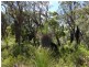 Lot 44 Cnr Cullen Road and Judd Road, Gracetown WA 6284