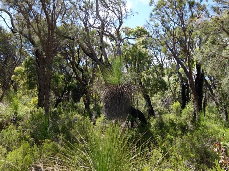 Lot 44 Cnr Cullen Road and Judd Road, Gracetown WA 6284