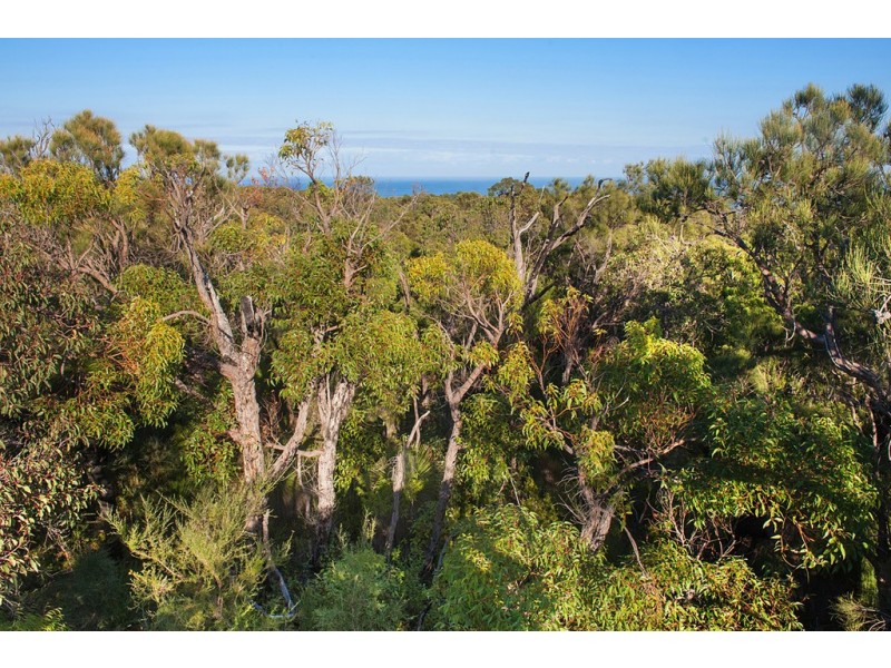 Lot 44 Cnr Cullen Road and Judd Road, Gracetown WA 6284