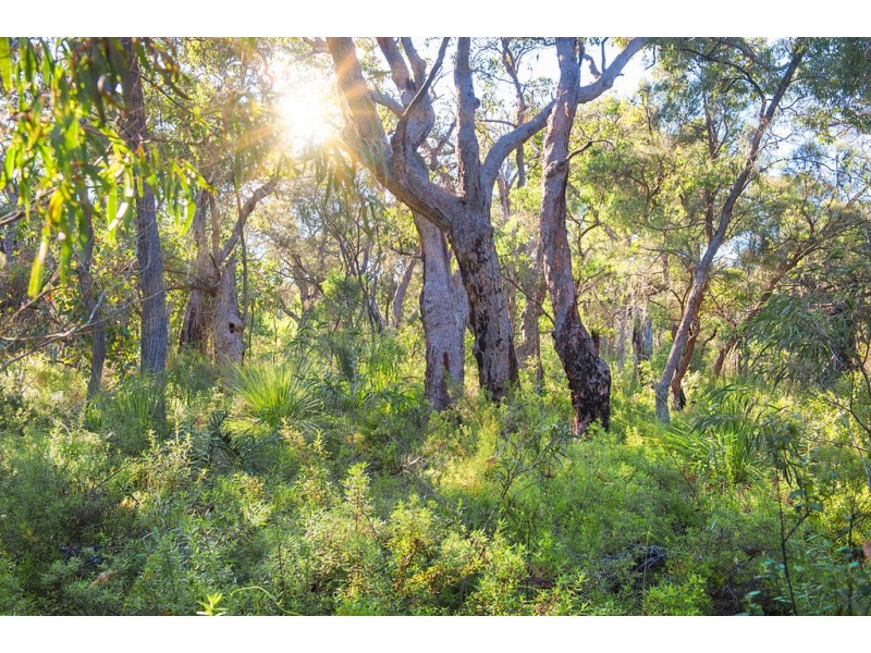 Lot 44 Cnr Cullen Road and Judd Road, Gracetown WA 6284