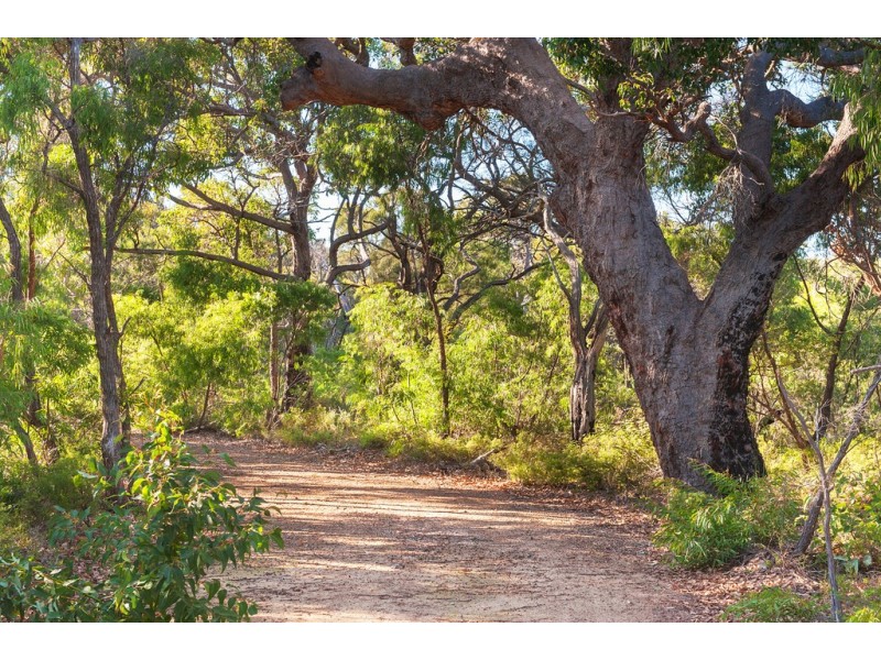 Lot 45 Cnr Cullen Road and Judd Road, Gracetown WA 6284