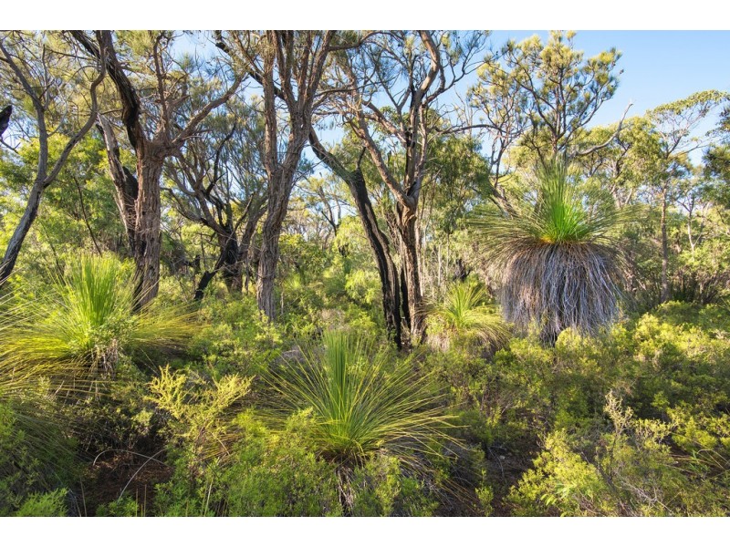 Lot 45 Cnr Cullen Road and Judd Road, Gracetown WA 6284