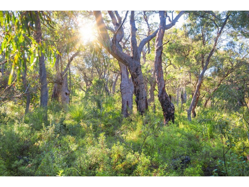Lot 45 Cnr Cullen Road and Judd Road, Gracetown WA 6284