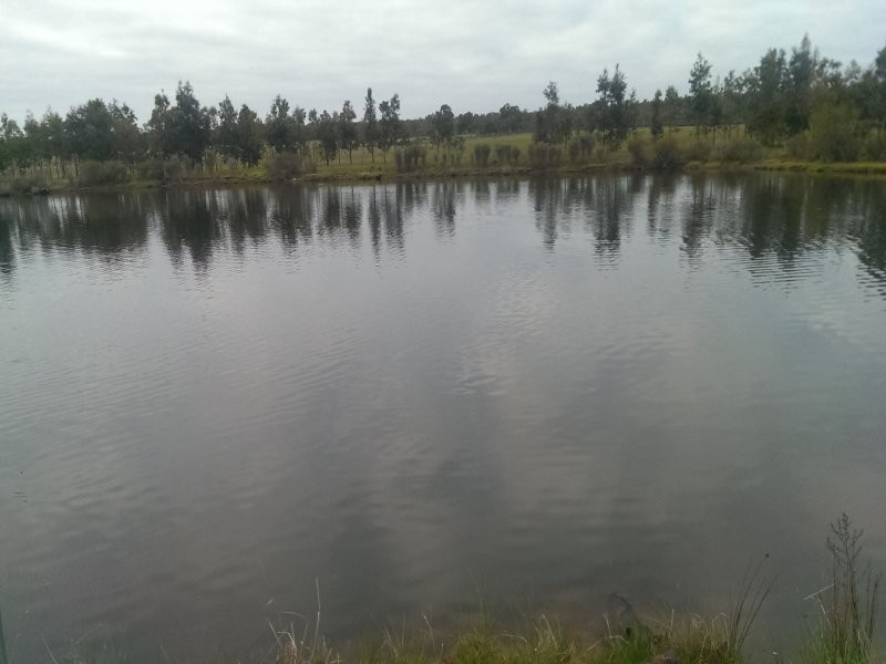 216 Sabina Road, Tutunup WA 6280