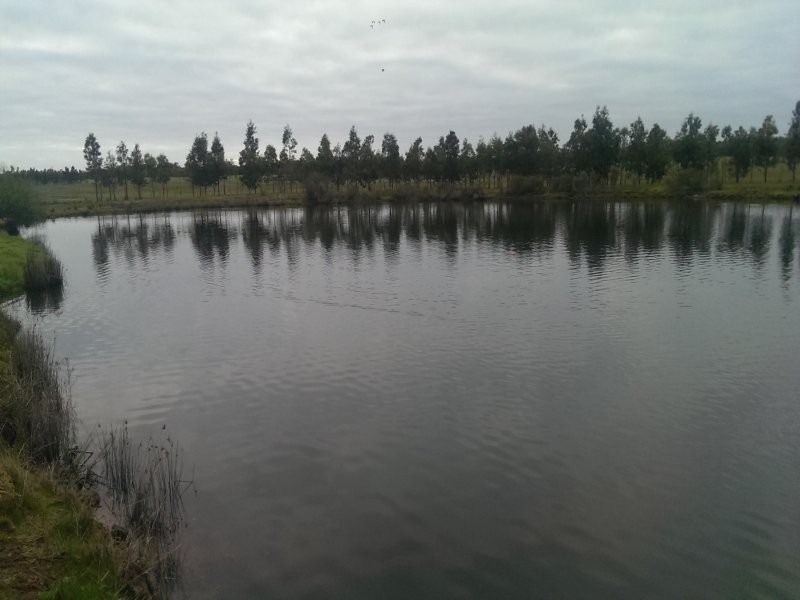 216 Sabina Road, Tutunup WA 6280