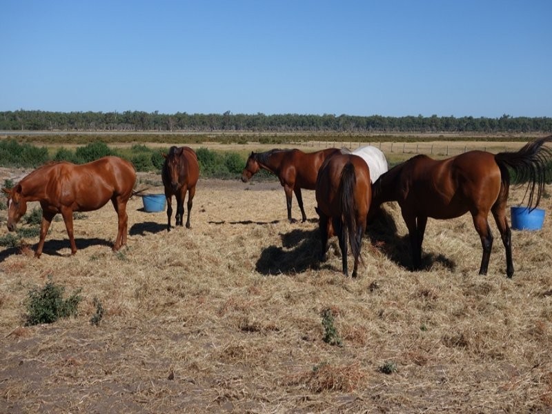 6/174 Forrest Beach Road, Wonnerup WA 6280