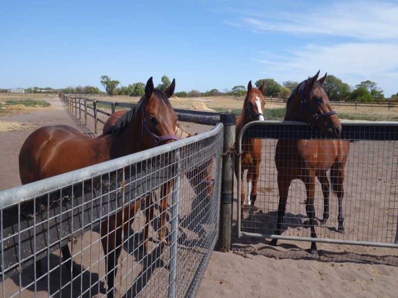 6/174 Forrest Beach Road, Wonnerup WA 6280