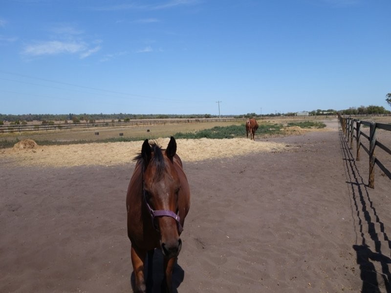 6/174 Forrest Beach Road, Wonnerup WA 6280