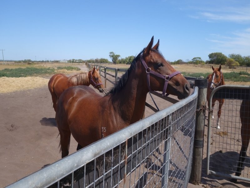 6/174 Forrest Beach Road, Wonnerup WA 6280