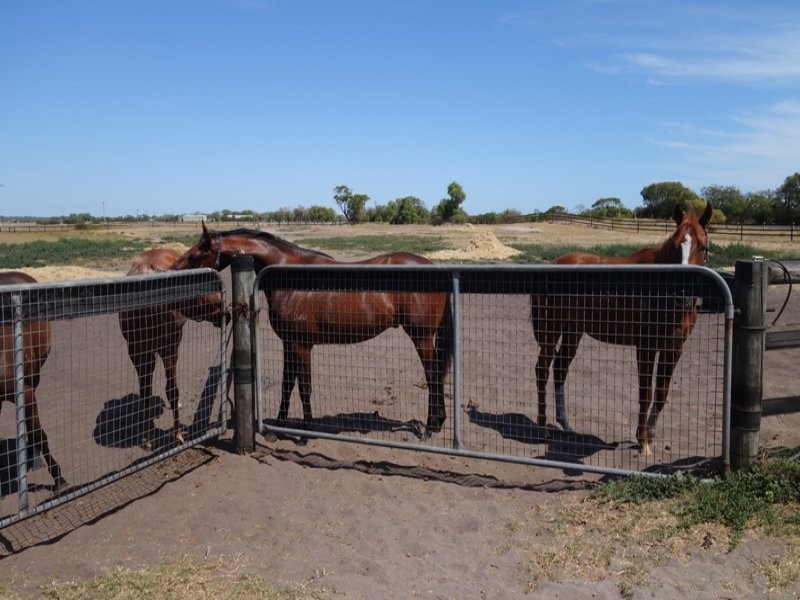 6/174 Forrest Beach Road, Wonnerup WA 6280