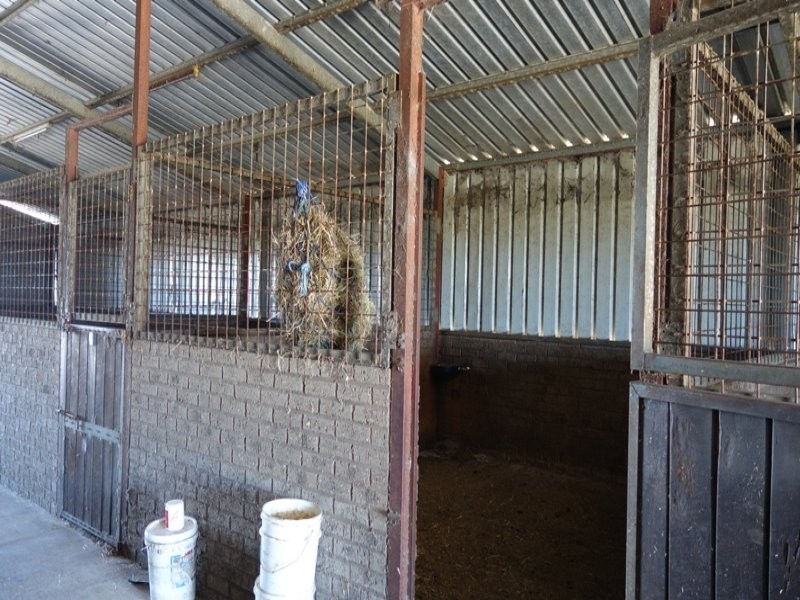 6/174 Forrest Beach Road, Wonnerup WA 6280