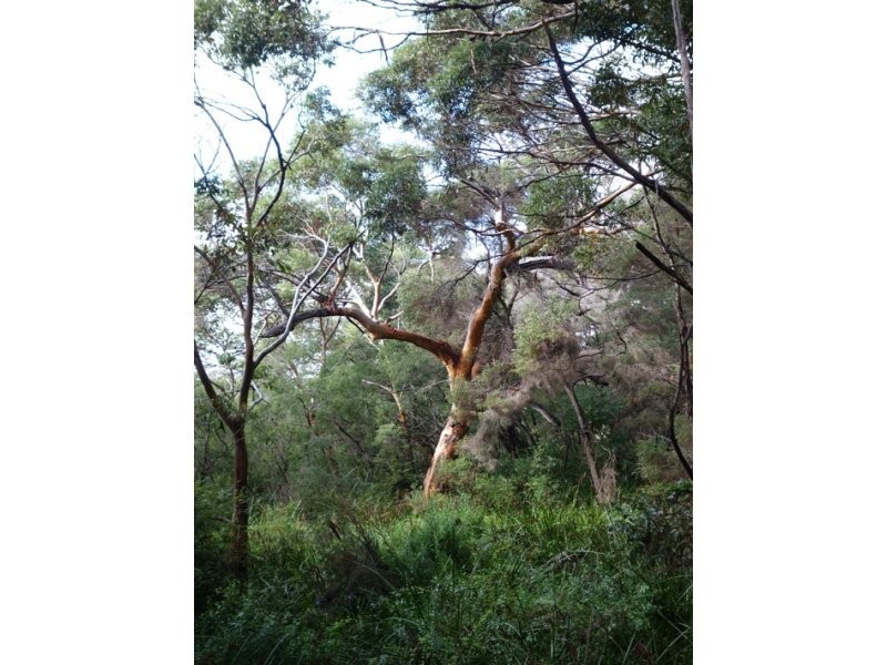 Lot 30 Caves Road, Deepdene WA 6290