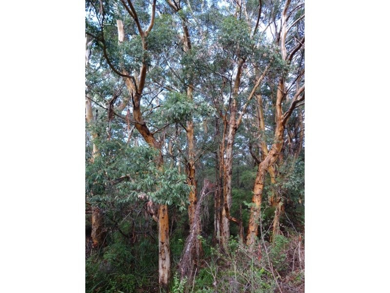 Lot 30 Caves Road, Deepdene WA 6290