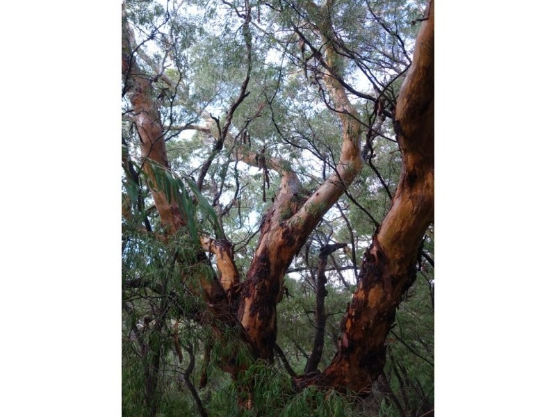 Lot 30 Caves Road, Deepdene WA 6290