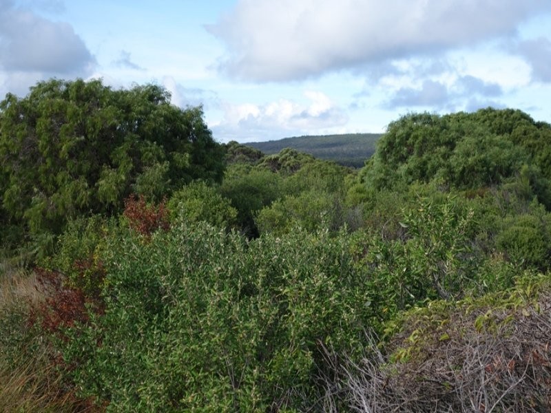 Lot 30 Caves Road, Deepdene WA 6290