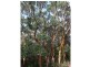 Lot 30 Caves Road, Deepdene WA 6290