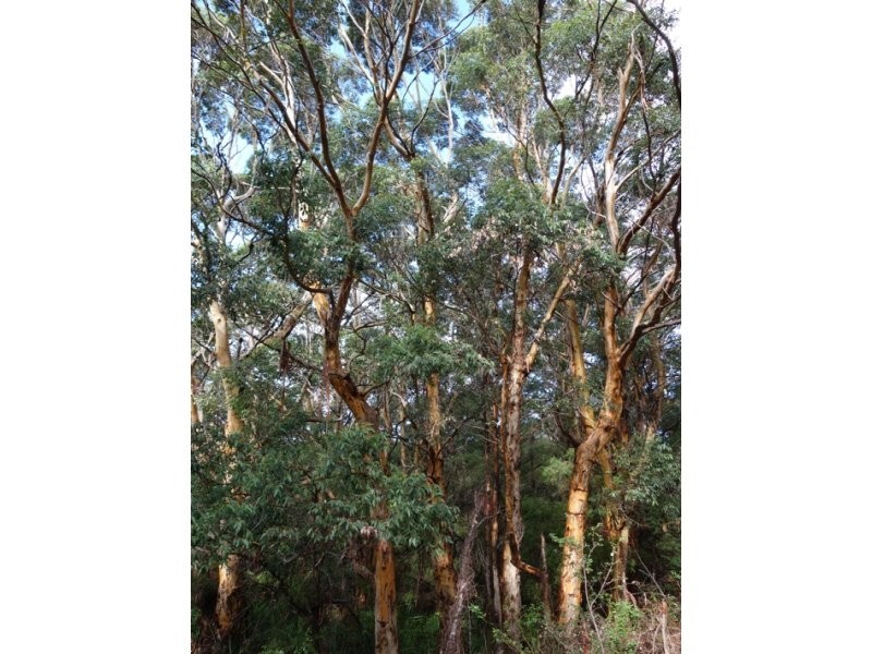 Lot 30 Caves Road, Deepdene WA 6290