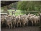 370 Edwards Road, Ambergate WA 6280